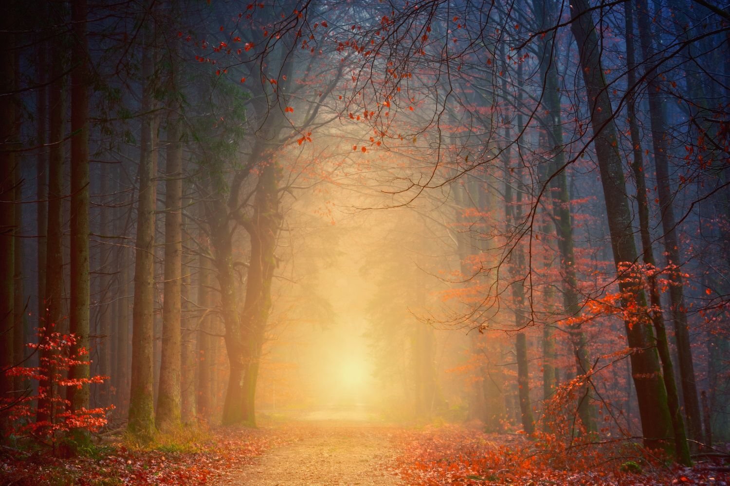 Odkrywamy miejsce, gdzie złapano szpiega