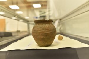 28.11.2025. Końskie. Wystawa „Ziemia Króla” / Fot. Magdalena Galas-Klusek - Radio Kielce