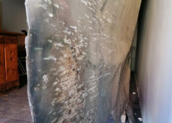 Przetrwał kule i bagnety. Chcą go uratować - Radio Kielce Przetrwał kule i bagnety. Chcą go uratować