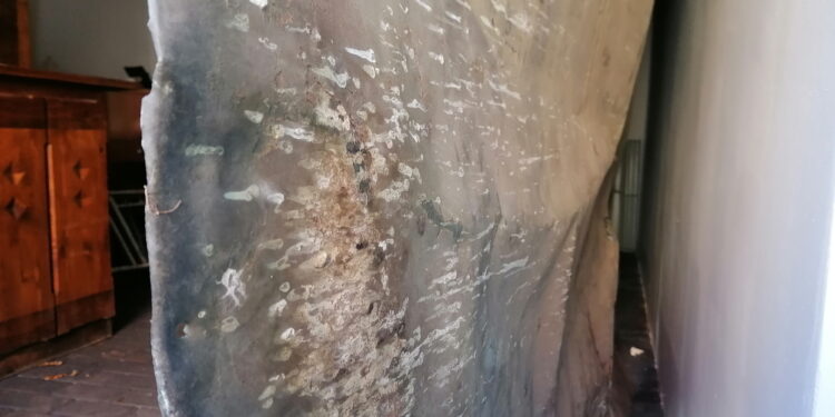 Przetrwał kule i bagnety. Chcą go uratować - Radio Kielce Przetrwał kule i bagnety. Chcą go uratować