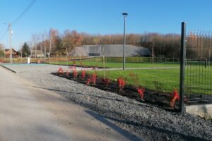 10.11.2025. Działoszyce. Park Rekreacyjno-Wypoczynkowy przy ulicy Chałupki / Fot. Marta Gajda-Kruk - Radio Kielce