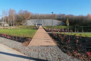 10.11.2025. Działoszyce. Park Rekreacyjno-Wypoczynkowy przy ulicy Chałupki / Fot. Marta Gajda-Kruk - Radio Kielce