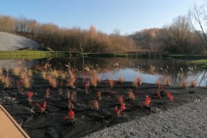 10.11.2025. Działoszyce. Park Rekreacyjno-Wypoczynkowy przy ulicy Chałupki / Fot. Marta Gajda-Kruk - Radio Kielce