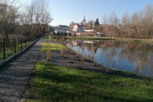 10.11.2025. Działoszyce. Park Rekreacyjno-Wypoczynkowy przy ulicy Chałupki / Fot. Marta Gajda-Kruk - Radio Kielce