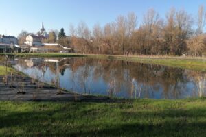 10.11.2025. Działoszyce. Park Rekreacyjno-Wypoczynkowy przy ulicy Chałupki / Fot. Marta Gajda-Kruk - Radio Kielce