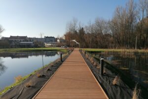 10.11.2025. Działoszyce. Park Rekreacyjno-Wypoczynkowy przy ulicy Chałupki / Fot. Marta Gajda-Kruk - Radio Kielce