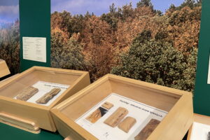 Meble kolbuszowskie na nowej wystawie - Radio Kielce Meble kolbuszowskie na nowej wystawie - Radio Kielce