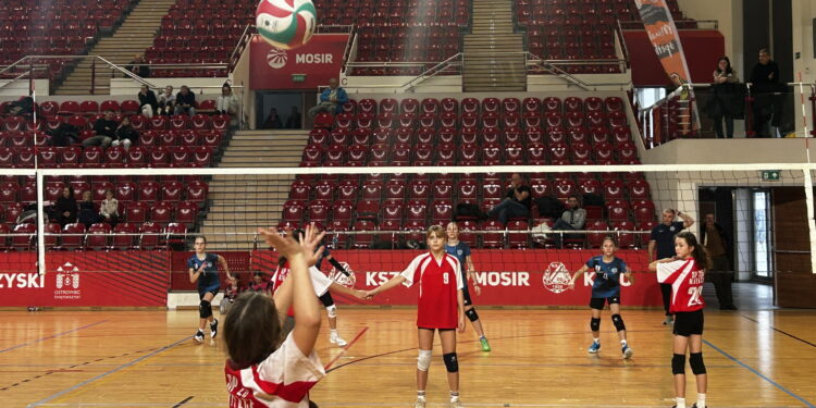 Zawodnicy z całej Polski walczyli na Volley Stars Cup 2025 w Ostrowcu Św.