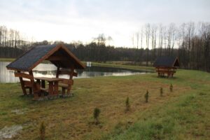 Tereny przy zalewie rekreacyjnym w Skadli / Fot. Marta Gajda-Kruk - Radio Kielce