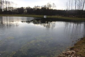 Tereny przy zalewie rekreacyjnym w Skadli / Fot. Marta Gajda-Kruk - Radio Kielce