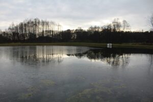 Tereny przy zalewie rekreacyjnym w Skadli / Fot. Marta Gajda-Kruk - Radio Kielce