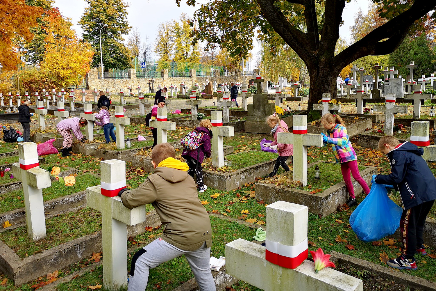 KIBICE RAZEM - siła, która jednoczy całe Kielce / źródło: materiały promocyjne