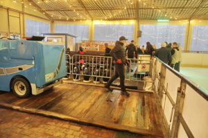 Kielce na lodzie: ruch, śmiech i dobra zabawa dla całej rodziny - Radio Kielce 16.11.2025. Kielce. Lodowisko / Fot. Jarosław Kubalski - Radio Kielce