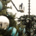 Kilkunastometrowa choinka „rośnie” na kieleckim Rynku