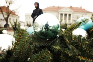 Kilkunastometrowa choinka „rośnie” na kieleckim Rynku - Radio Kielce