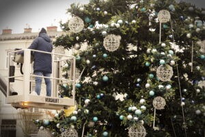 Kilkunastometrowa choinka „rośnie” na kieleckim Rynku