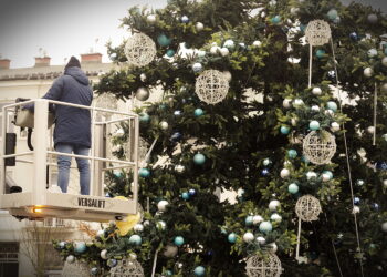 Kilkunastometrowa choinka „rośnie” na kieleckim Rynku - Radio Kielce Kilkunastometrowa choinka „rośnie” na kieleckim Rynku