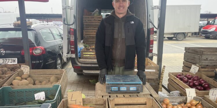 Warzywa w listopadzie