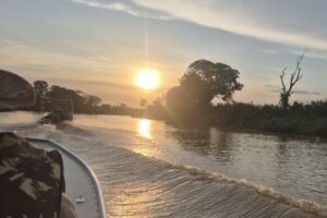 Brazylia. Pantanal / Fot. Grażyna Woźniczka