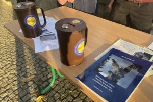 02.11.2025. Sandomierz. Cmentarz katedralny. Kwesta / Fot. Grażyna Szlęzak-Wójcik - Radio Kielce