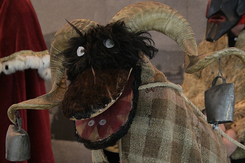 W Pińczowie wybiorą najbrzydszego turonia