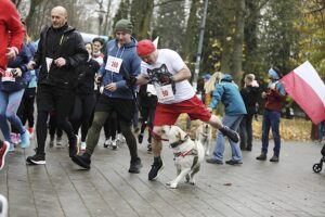 Setki osób pobiegło w Kielcach dla Niepodległej - Radio Kielce 09.11.2025. Kielce. Bieg Niepodległości / Fot. Jarosław Kubalski - Radio Kielce