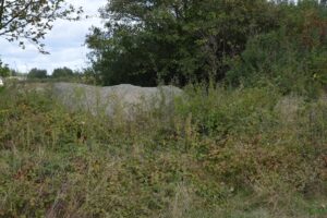 Największy w województwie głaz i historia pewnej sukienki - Radio Kielce Największy w województwie głaz i historia pewnej sukienki - Radio Kielce