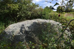 Największy w województwie głaz i historia pewnej sukienki - Radio Kielce Największy w województwie głaz i historia pewnej sukienki - Radio Kielce