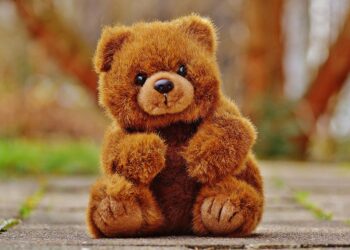 Pluszowy miś wspiera w walce z chorobą 