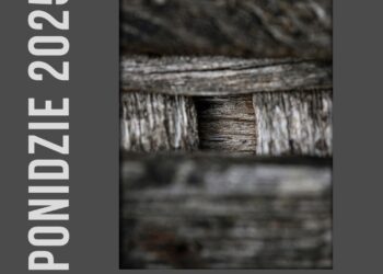 XXIX Ogólnopolski Przegląd Fotograficzny „Ponidzie 2025” - Radio Kielce XXIX Ogólnopolski Przegląd Fotograficzny „Ponidzie 2025” - Radio Kielce