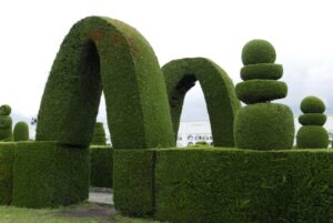 Muzyczne podróże przez świat. Ekwador w cieniu wulkanów - Radio Kielce Muzyczne podróże przez świat. Ekwador / Fot. Danuta Rasała