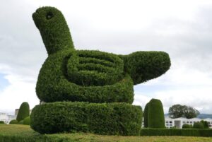 Muzyczne podróże przez świat. Ekwador w cieniu wulkanów - Radio Kielce Muzyczne podróże przez świat. Ekwador / Fot. Danuta Rasała