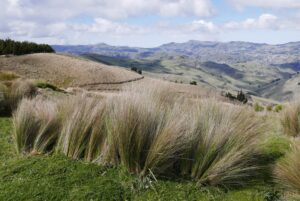 Muzyczne podróże przez świat. Ekwador w cieniu wulkanów - Radio Kielce Muzyczne podróże przez świat. Ekwador / Fot. Danuta Rasała