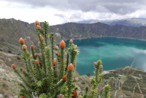 Muzyczne podróże przez świat. Ekwador w cieniu wulkanów - Radio Kielce Muzyczne podróże przez świat. Ekwador / Fot. Danuta Rasała