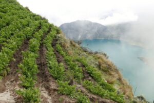 Muzyczne podróże przez świat. Ekwador w cieniu wulkanów - Radio Kielce Muzyczne podróże przez świat. Ekwador / Fot. Danuta Rasała