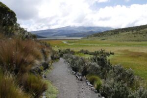 Muzyczne podróże przez świat. Ekwador w cieniu wulkanów - Radio Kielce Muzyczne podróże przez świat. Ekwador / Fot. Danuta Rasała