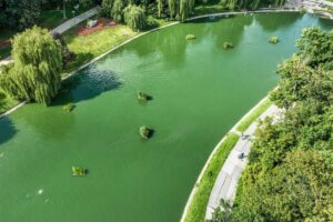 Wizualizacja stawu w Parku Miejskim im. Stanisława Staszica w Kielcach po rewitalizacji / źródło: kielce.eu