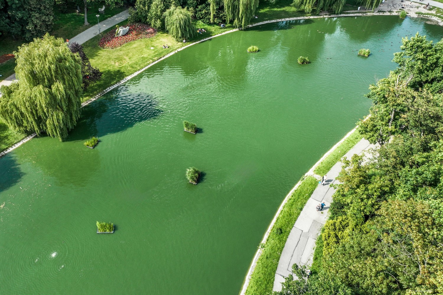 Są pieniądze na modernizację stawu w parku