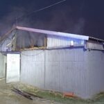 Pożar kurnika w Woli Morawickiej. W hali 19 tysięcy kurcząt