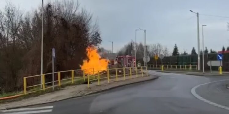 Przy drodze płonął gaz. W akcji cztery zastępy straży - Radio Kielce Przy drodze płonął gaz. W akcji cztery zastępy straży
