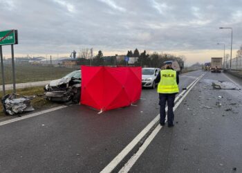 Śmiertelny wypadek na drodze krajowej - Radio Kielce 08.12.2025. Prząsław. Wypadek / Fot. Policja