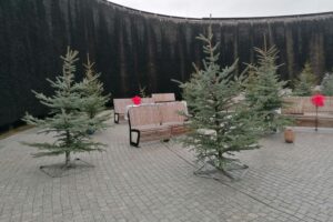 Świąteczne miasteczko w sercu tężni - Radio Kielce 13.12.2025. Busko-Zdrój. Tężnia solankowa / Fot. Marta Gajda-Kruk - Radio Kielce