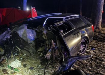 01.01.2026. Wpadek w pobliżu Kliszowa, w powiecie pińczowskim / Fot. KP PSP Pińczów