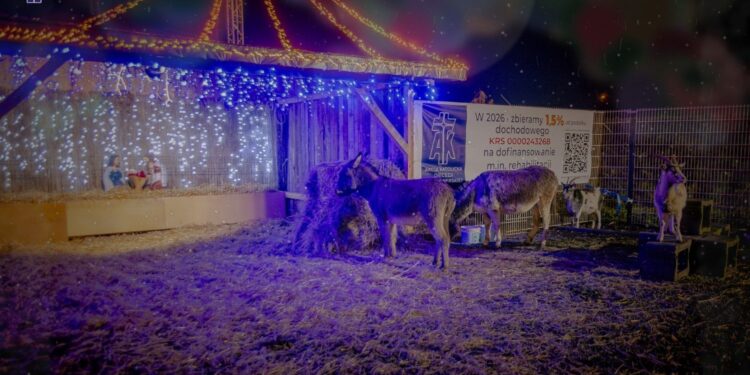 Ostrowiec Świętokrzyski. Żywa szopka przy Domu Ulgi w Cierpieniu / Fot. Akcja Katolicka Diecezji Sandomierskiej - Facebook