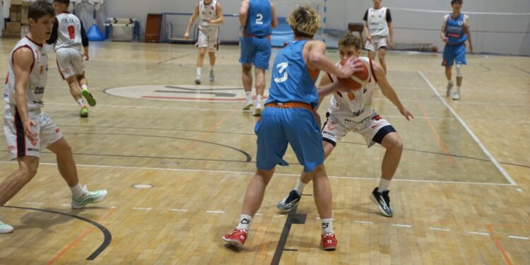 Koszykarze UJK podejmują sąsiada w tabeli - Radio Kielce Koszykarze UJK podejmują sąsiada w tabeli