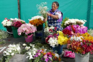 Muzyczne podróże przez świat. Ekwador w cieniu wulkanów - Radio Kielce Muzyczne podróże przez świat. Ekwador / Fot. Danuta Rasała