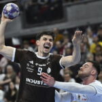 Industria wraca z Gdańska z tarczą