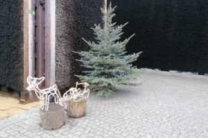 Świąteczne miasteczko w sercu tężni - Radio Kielce 13.12.2025. Busko-Zdrój. Tężnia solankowa / Fot. Marta Gajda-Kruk - Radio Kielce