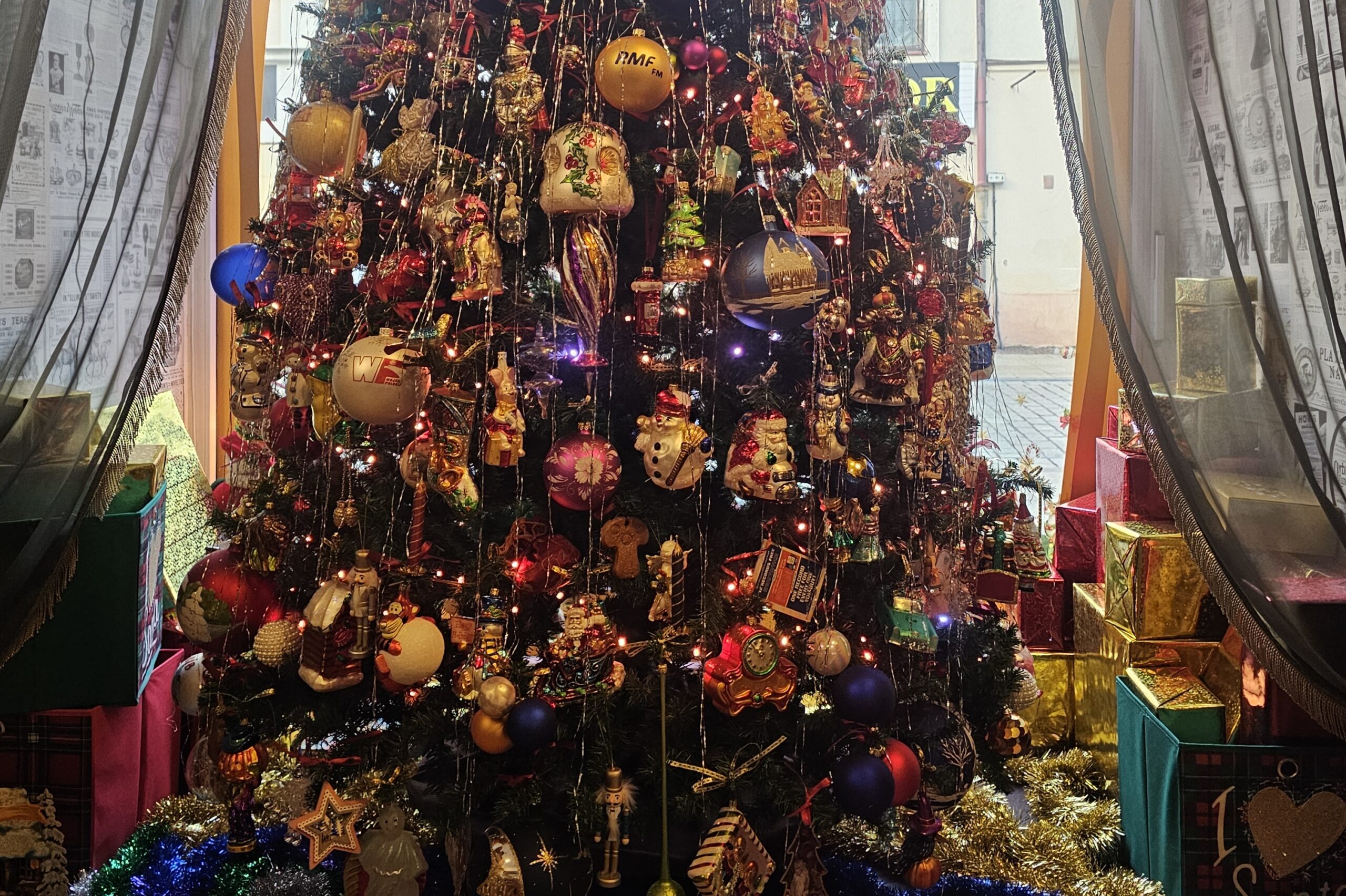 Choinka w Antykwariacie Naukowym im. Andrzeja Metzgera w Kielcach / Fot. Dorota Klusek - Radio Kielce