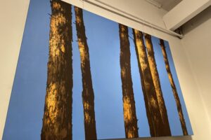 Wystawa w sandomierskim BWA - Radio Kielce Sandomierz. BWA. Wystawa / Fot. Grażyna Szlęzak-Wójcik - Radio Kielce